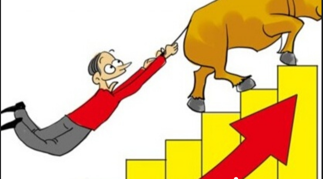 揭秘国内十大期货配资平台，助你财富增值